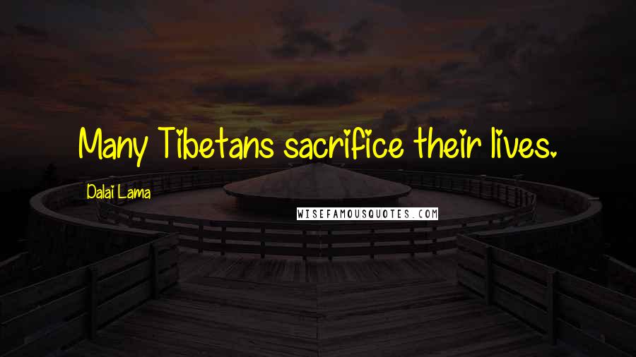 Dalai Lama Quotes: Many Tibetans sacrifice their lives.