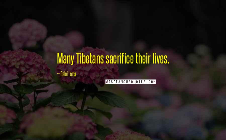 Dalai Lama Quotes: Many Tibetans sacrifice their lives.