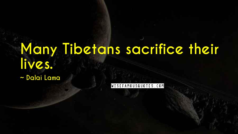 Dalai Lama Quotes: Many Tibetans sacrifice their lives.