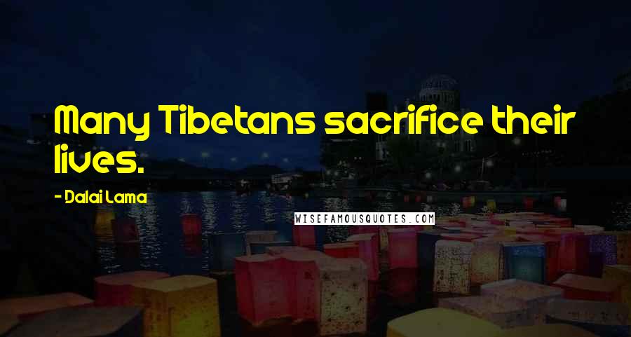 Dalai Lama Quotes: Many Tibetans sacrifice their lives.