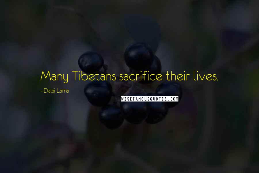 Dalai Lama Quotes: Many Tibetans sacrifice their lives.