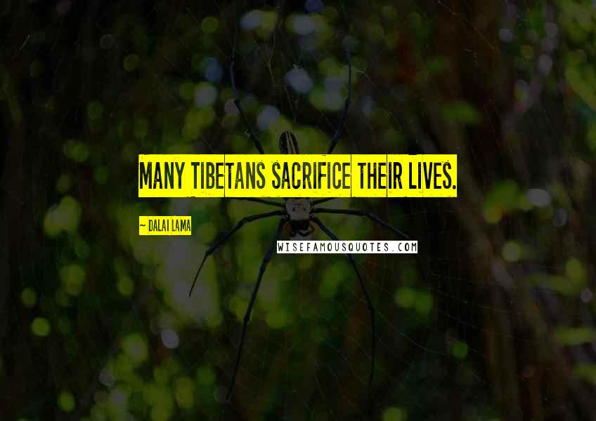 Dalai Lama Quotes: Many Tibetans sacrifice their lives.