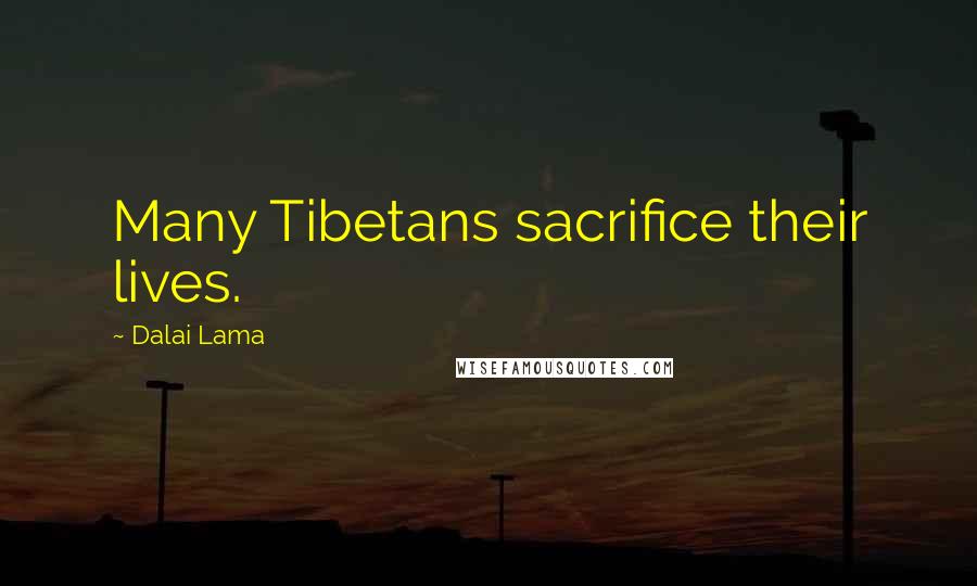 Dalai Lama Quotes: Many Tibetans sacrifice their lives.