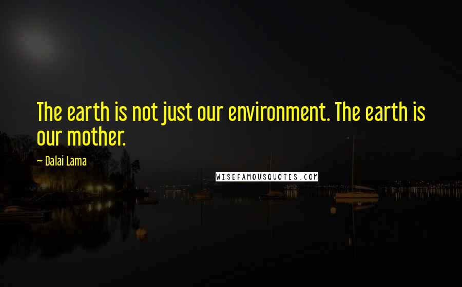 Dalai Lama Quotes: The earth is not just our environment. The earth is our mother.