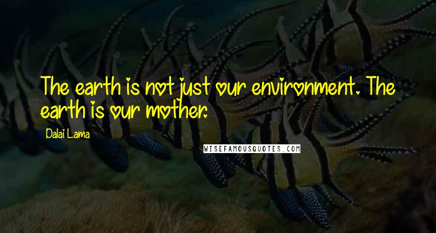 Dalai Lama Quotes: The earth is not just our environment. The earth is our mother.