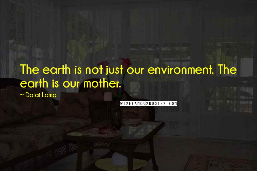 Dalai Lama Quotes: The earth is not just our environment. The earth is our mother.