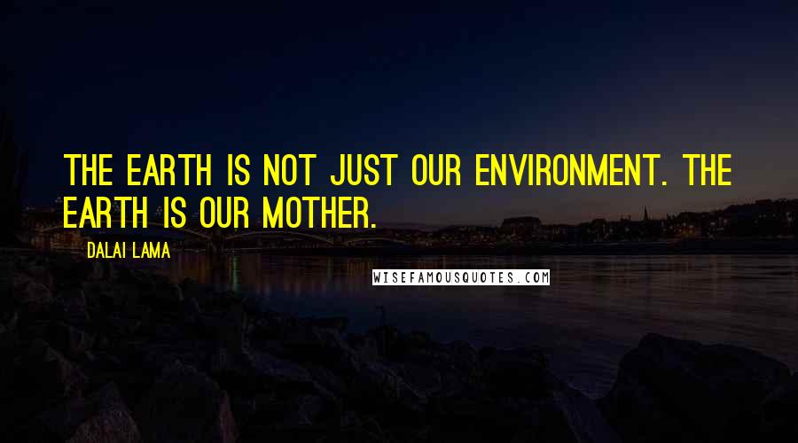 Dalai Lama Quotes: The earth is not just our environment. The earth is our mother.