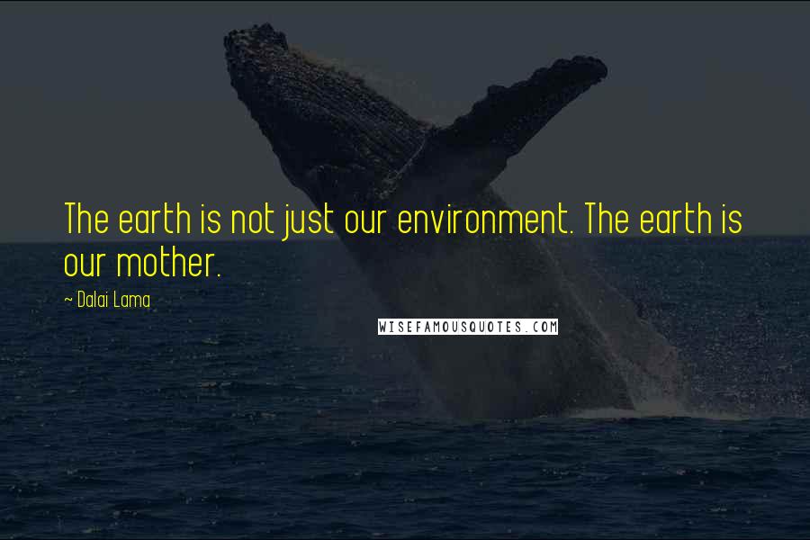 Dalai Lama Quotes: The earth is not just our environment. The earth is our mother.