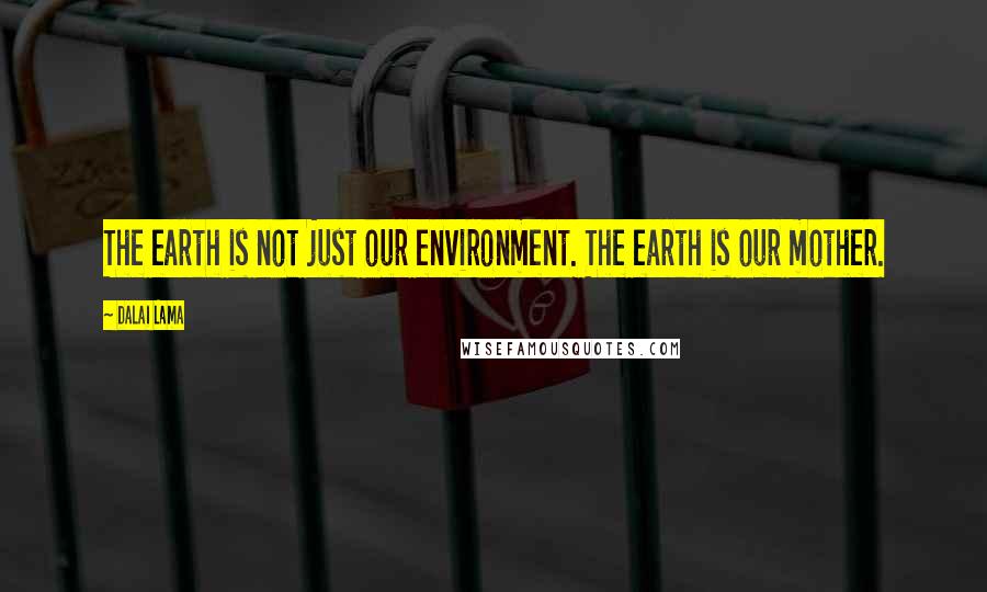 Dalai Lama Quotes: The earth is not just our environment. The earth is our mother.