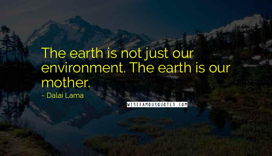 Dalai Lama Quotes: The earth is not just our environment. The earth is our mother.