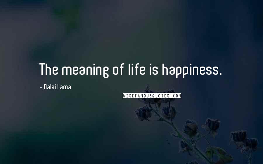 Dalai Lama Quotes: The meaning of life is happiness.