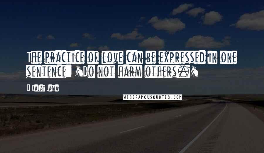 Dalai Lama Quotes: The practice of love can be expressed in one sentence: 'Do not harm others.'