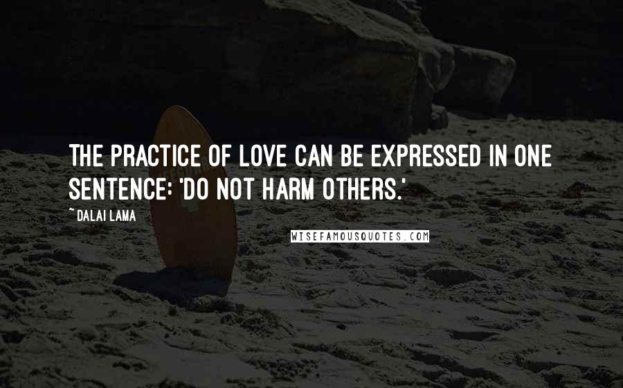 Dalai Lama Quotes: The practice of love can be expressed in one sentence: 'Do not harm others.'