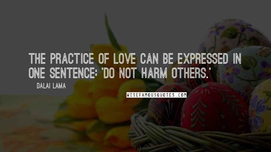 Dalai Lama Quotes: The practice of love can be expressed in one sentence: 'Do not harm others.'