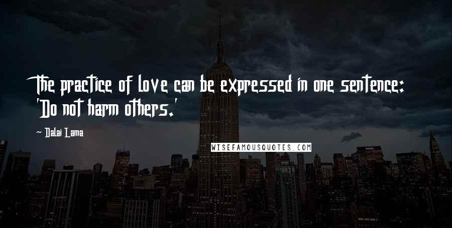 Dalai Lama Quotes: The practice of love can be expressed in one sentence: 'Do not harm others.'