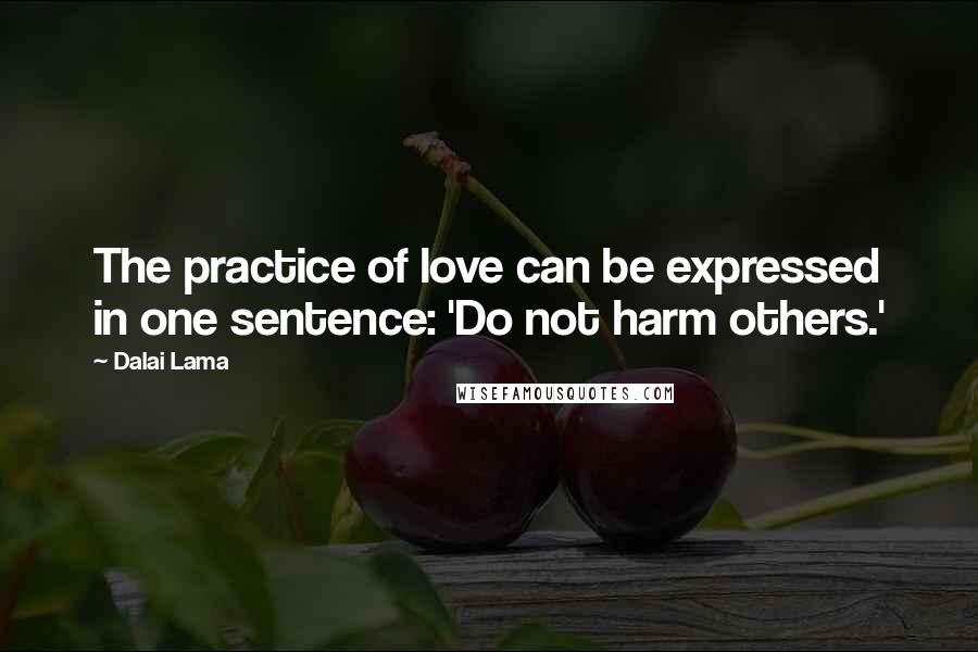 Dalai Lama Quotes: The practice of love can be expressed in one sentence: 'Do not harm others.'