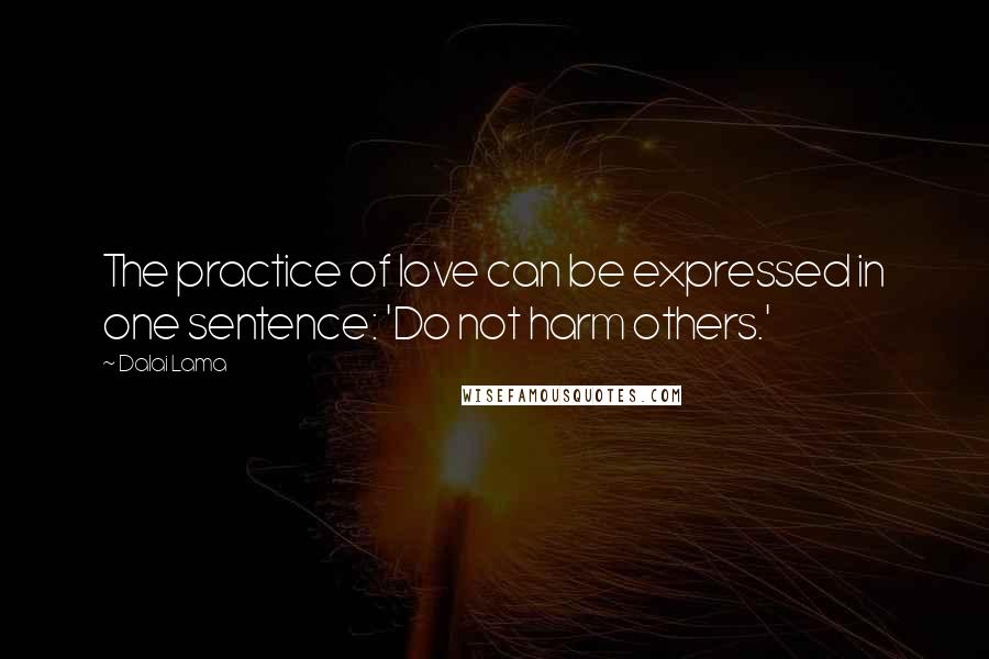 Dalai Lama Quotes: The practice of love can be expressed in one sentence: 'Do not harm others.'