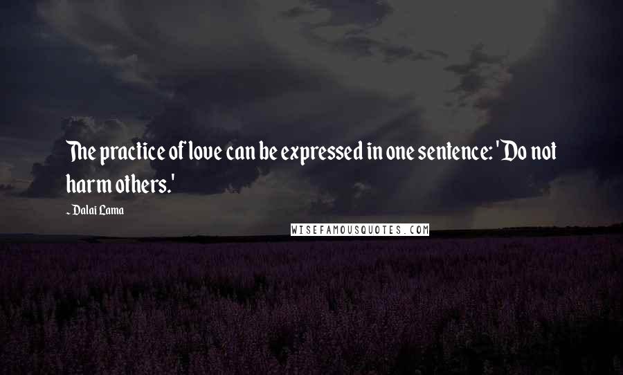 Dalai Lama Quotes: The practice of love can be expressed in one sentence: 'Do not harm others.'