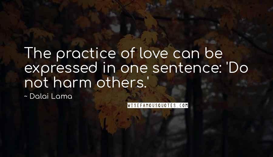 Dalai Lama Quotes: The practice of love can be expressed in one sentence: 'Do not harm others.'