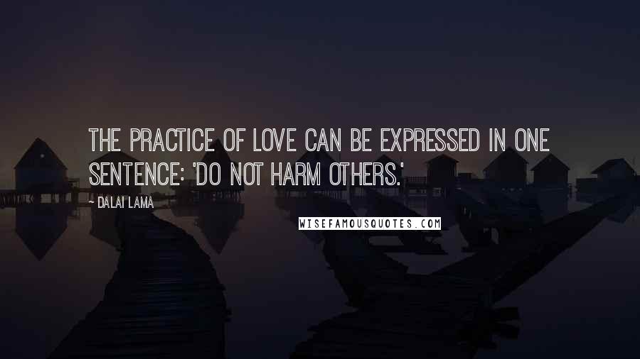 Dalai Lama Quotes: The practice of love can be expressed in one sentence: 'Do not harm others.'