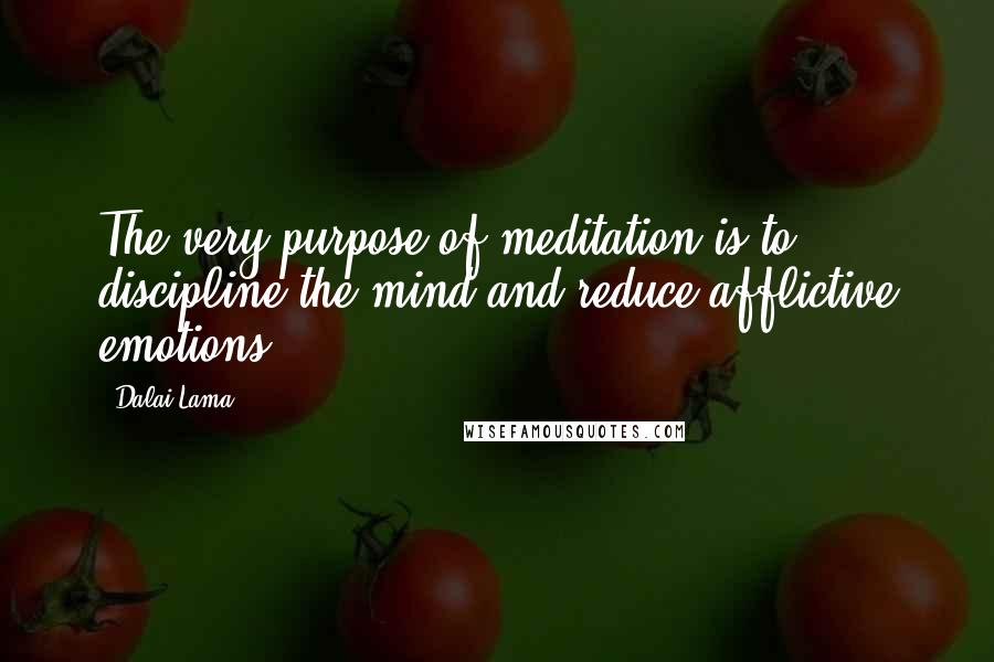 Dalai Lama Quotes: The very purpose of meditation is to discipline the mind and reduce afflictive emotions.