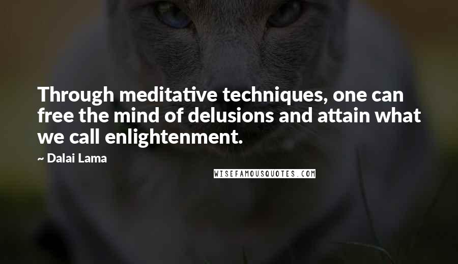 Dalai Lama Quotes: Through meditative techniques, one can free the mind of delusions and attain what we call enlightenment.