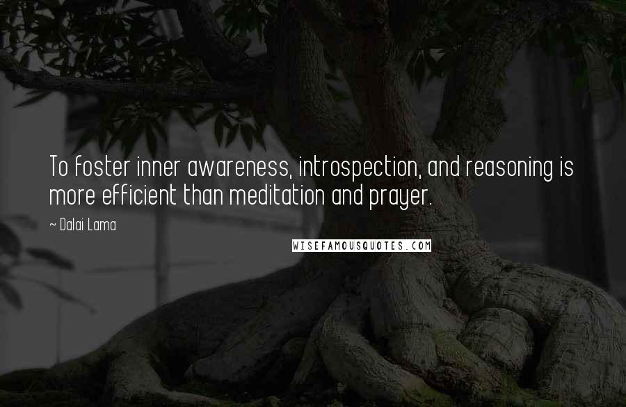 Dalai Lama Quotes: To foster inner awareness, introspection, and reasoning is more efficient than meditation and prayer.