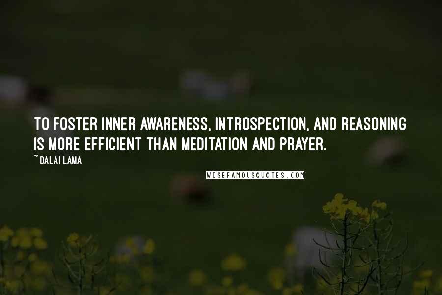 Dalai Lama Quotes: To foster inner awareness, introspection, and reasoning is more efficient than meditation and prayer.