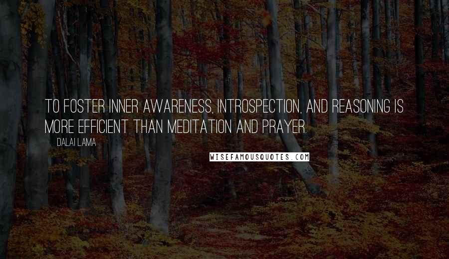 Dalai Lama Quotes: To foster inner awareness, introspection, and reasoning is more efficient than meditation and prayer.