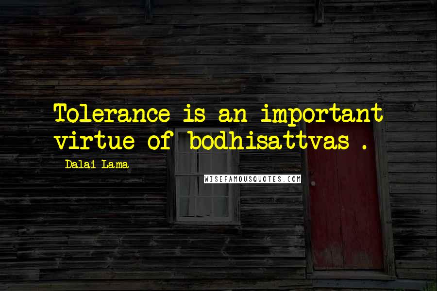 Dalai Lama Quotes: Tolerance is an important virtue of bodhisattvas .