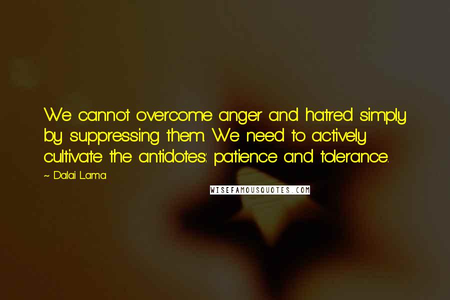 Dalai Lama Quotes: We cannot overcome anger and hatred simply by suppressing them. We need to actively cultivate the antidotes: patience and tolerance.
