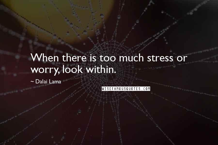 Dalai Lama Quotes: When there is too much stress or worry, look within.