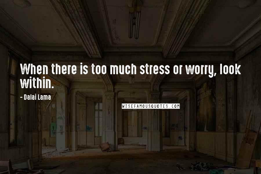 Dalai Lama Quotes: When there is too much stress or worry, look within.