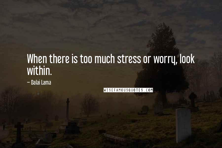 Dalai Lama Quotes: When there is too much stress or worry, look within.