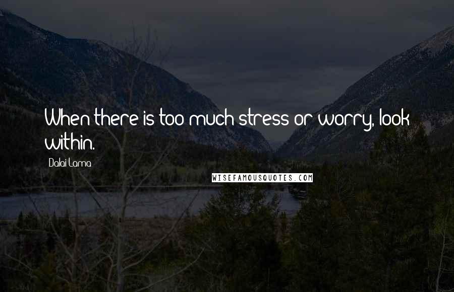 Dalai Lama Quotes: When there is too much stress or worry, look within.