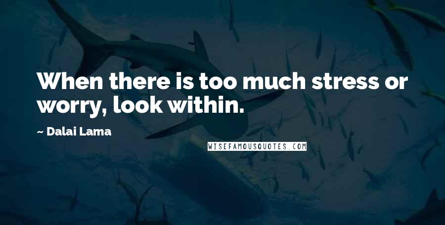 Dalai Lama Quotes: When there is too much stress or worry, look within.