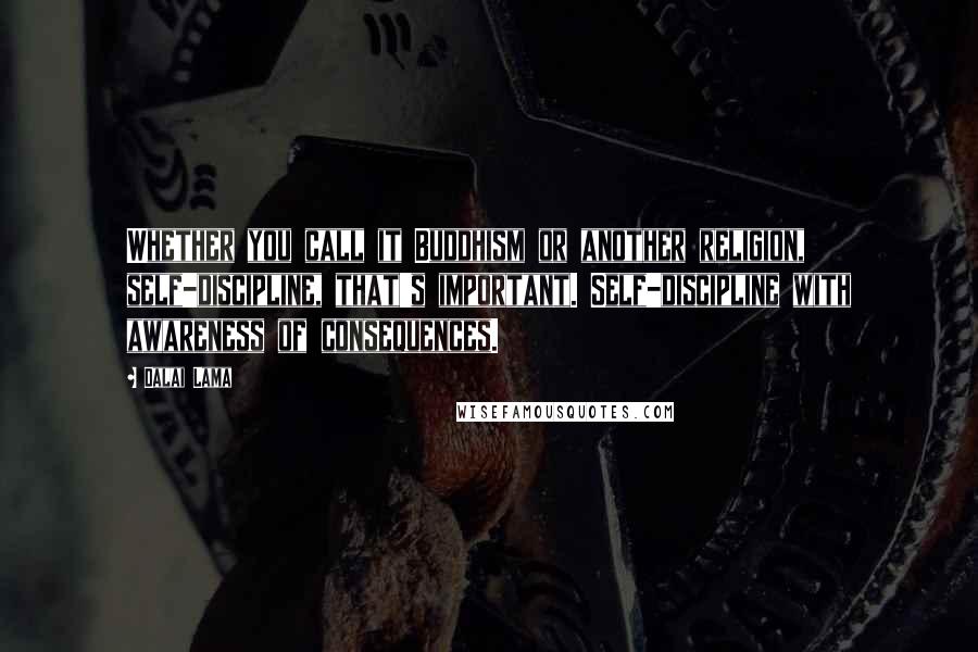 Dalai Lama Quotes: Whether you call it Buddhism or another religion, self-discipline, that's important. Self-discipline with awareness of consequences.