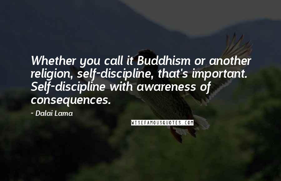 Dalai Lama Quotes: Whether you call it Buddhism or another religion, self-discipline, that's important. Self-discipline with awareness of consequences.