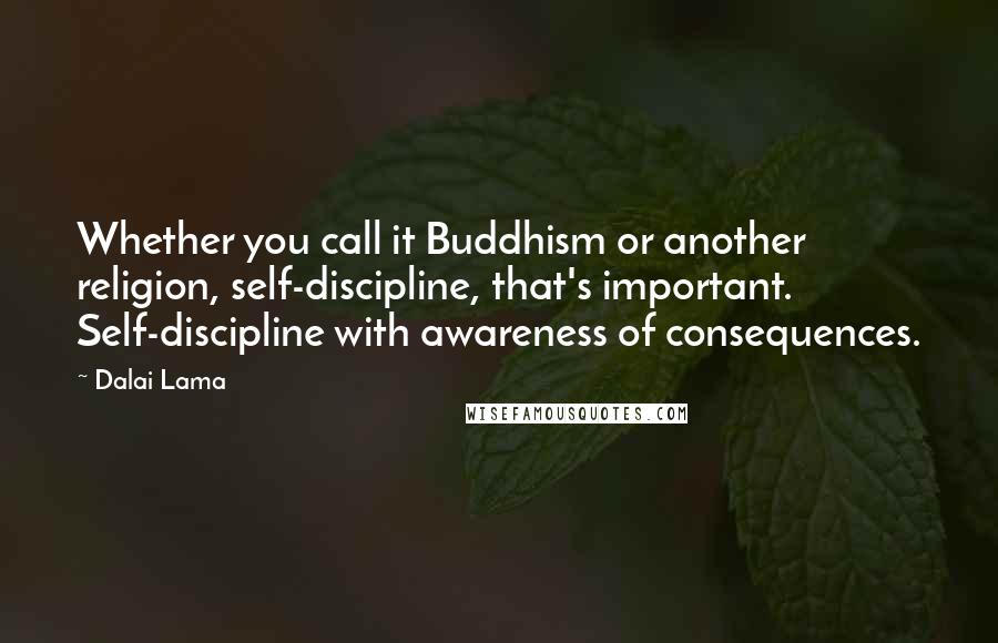 Dalai Lama Quotes: Whether you call it Buddhism or another religion, self-discipline, that's important. Self-discipline with awareness of consequences.