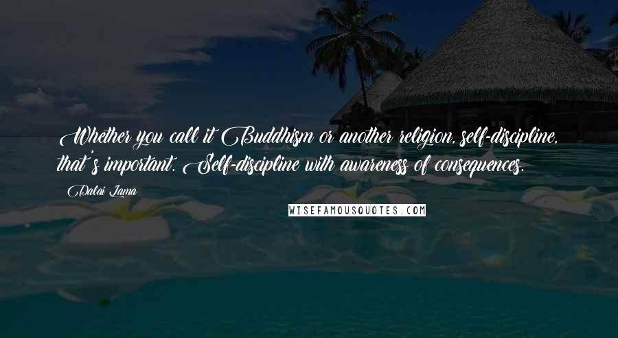 Dalai Lama Quotes: Whether you call it Buddhism or another religion, self-discipline, that's important. Self-discipline with awareness of consequences.