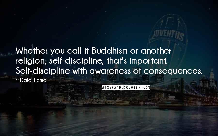 Dalai Lama Quotes: Whether you call it Buddhism or another religion, self-discipline, that's important. Self-discipline with awareness of consequences.