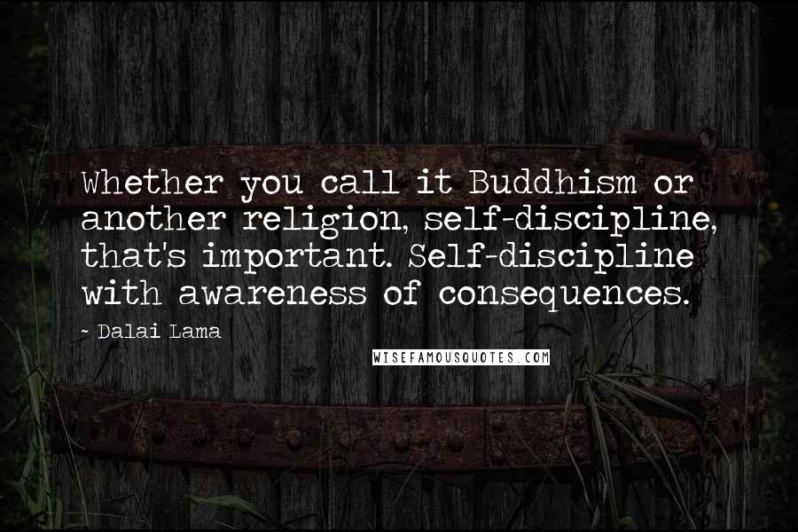 Dalai Lama Quotes: Whether you call it Buddhism or another religion, self-discipline, that's important. Self-discipline with awareness of consequences.