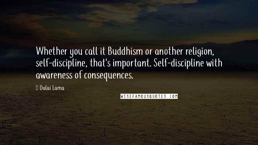 Dalai Lama Quotes: Whether you call it Buddhism or another religion, self-discipline, that's important. Self-discipline with awareness of consequences.