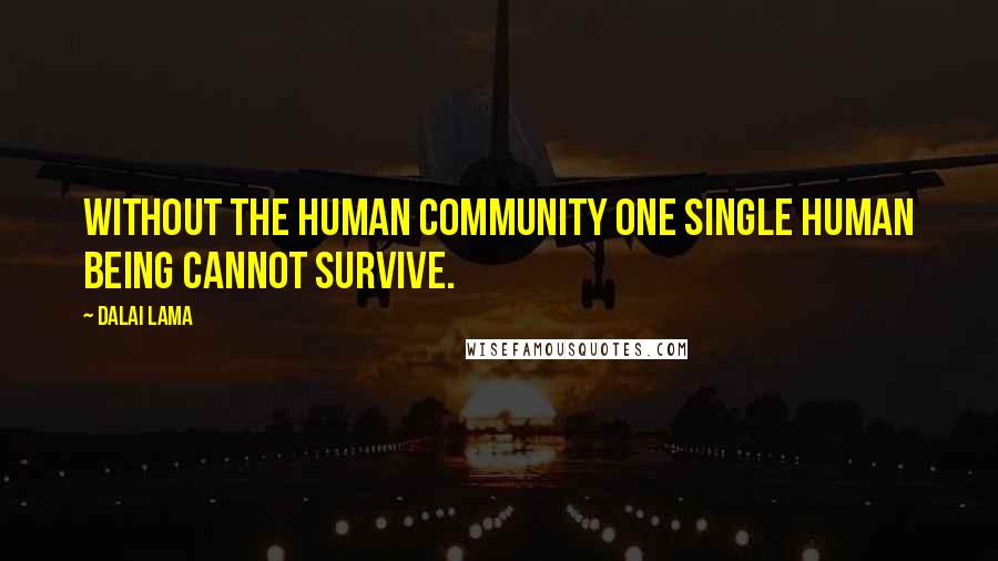 Dalai Lama Quotes: Without the human community one single human being cannot survive.