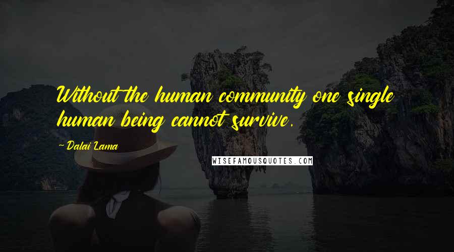 Dalai Lama Quotes: Without the human community one single human being cannot survive.