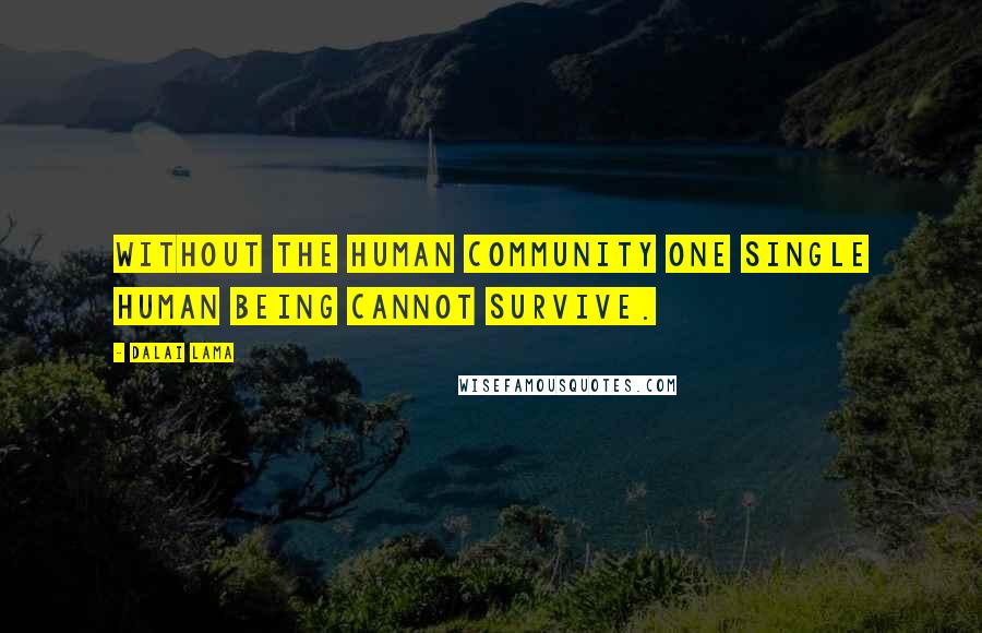 Dalai Lama Quotes: Without the human community one single human being cannot survive.