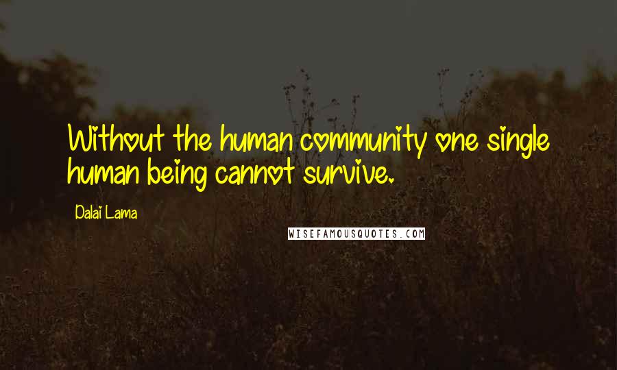 Dalai Lama Quotes: Without the human community one single human being cannot survive.