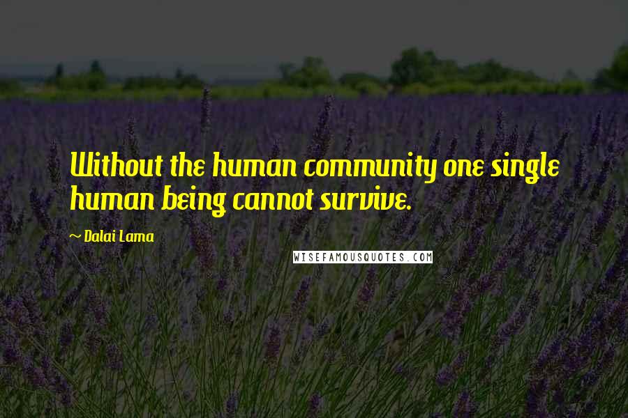 Dalai Lama Quotes: Without the human community one single human being cannot survive.