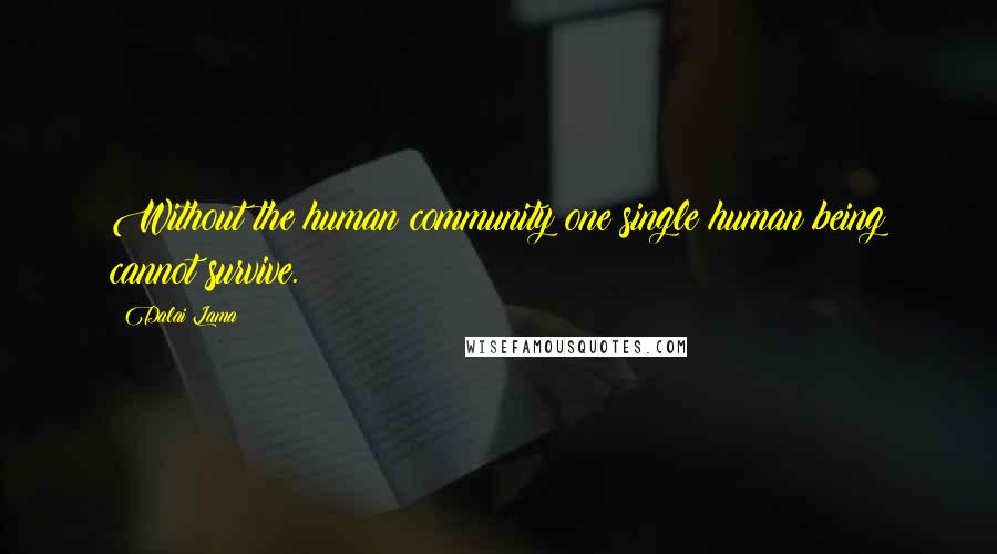 Dalai Lama Quotes: Without the human community one single human being cannot survive.