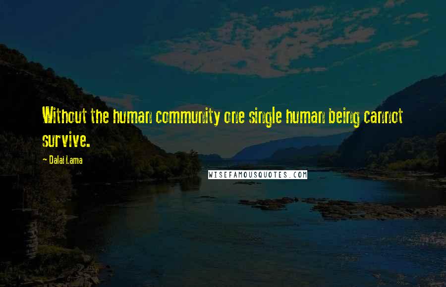 Dalai Lama Quotes: Without the human community one single human being cannot survive.